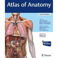 Atlas of Human Anatomy