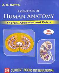 Essentials Of Human Anatomy Vol- 1 : Thorax, Abdomen and Pelvis