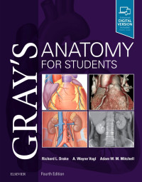 Gray's Anatomy for Students Vol-2